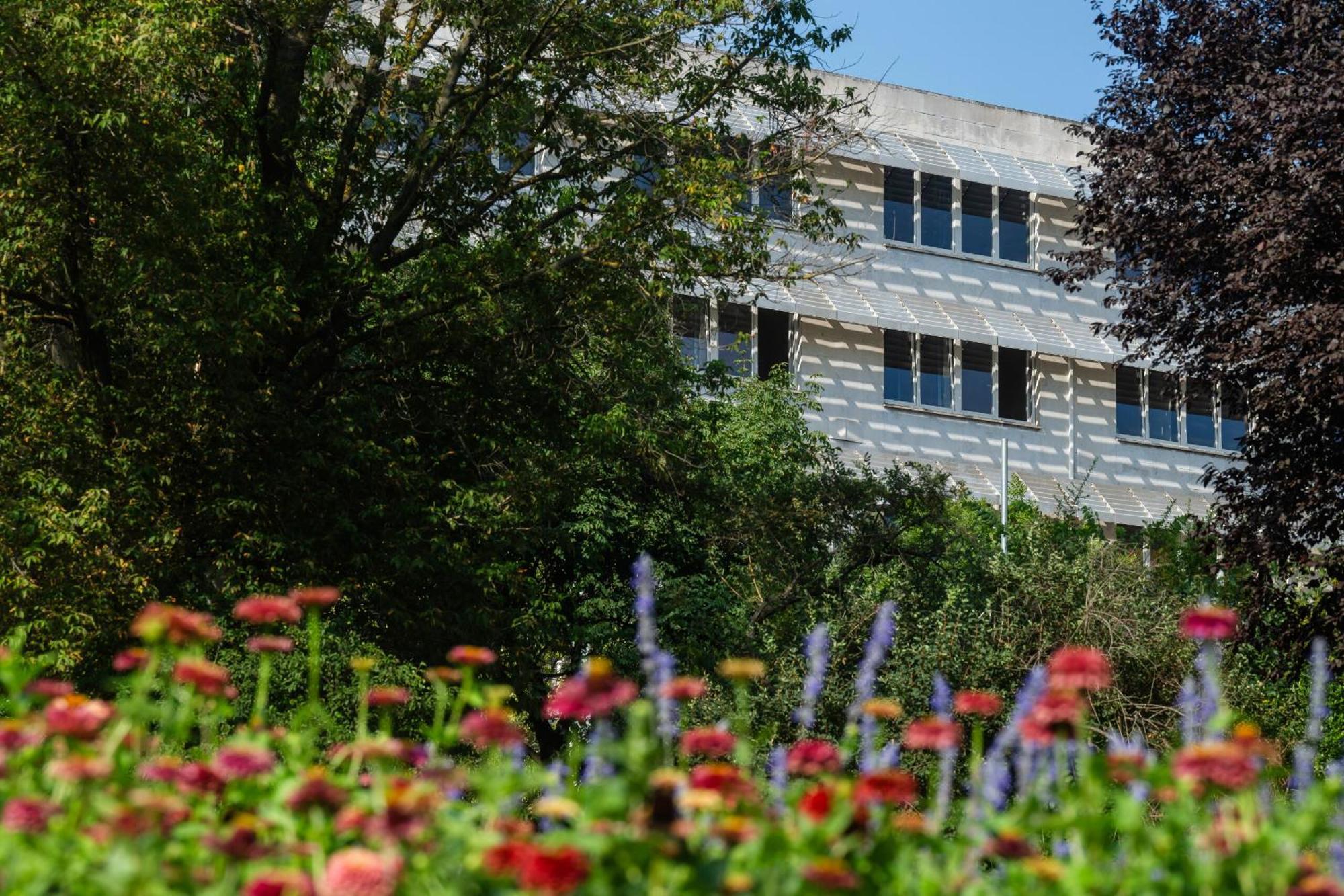 Vandrerhjem Moricz Student Living